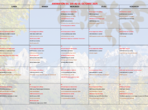 Programme d'animation de la Résidence Curie-Sembres